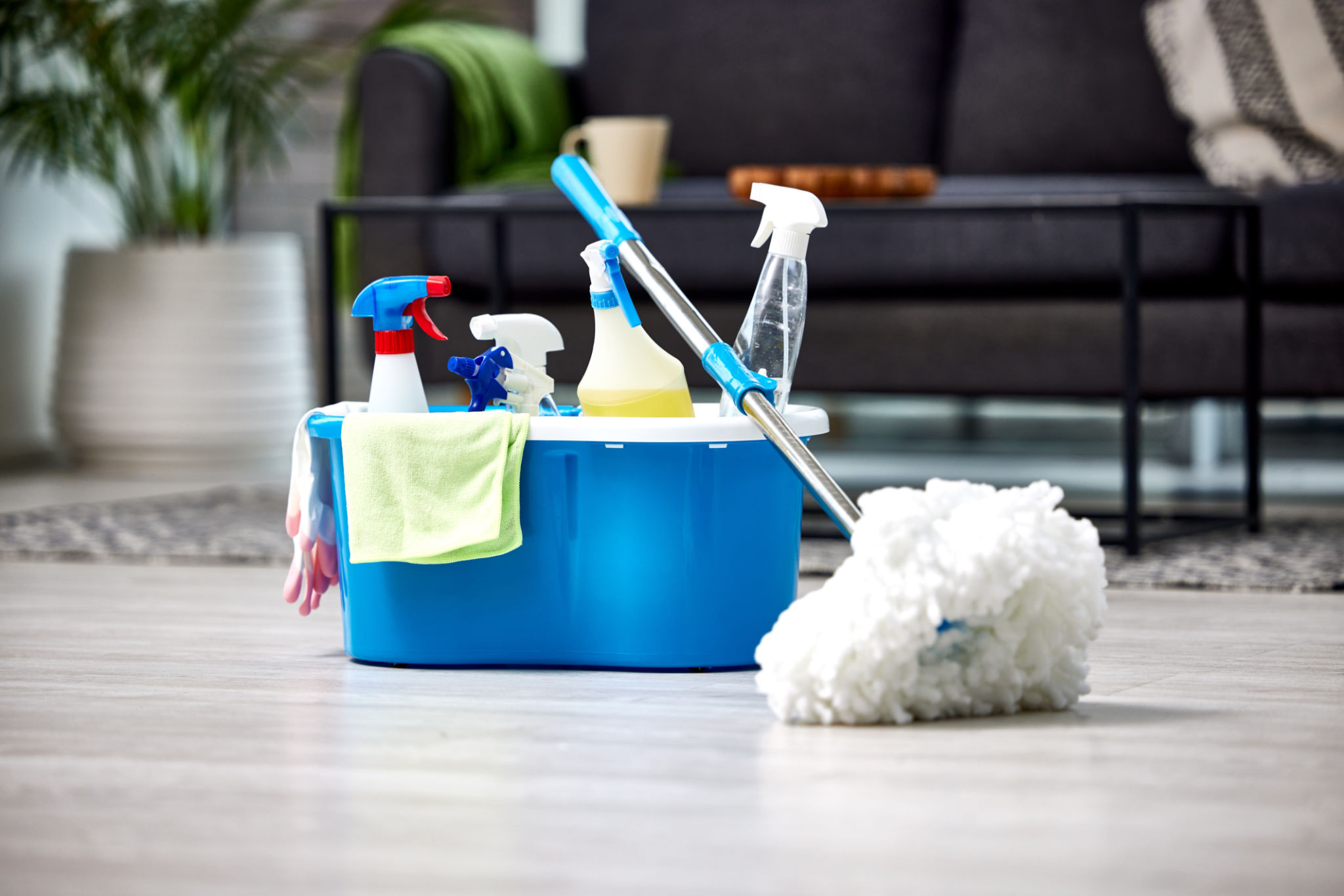 Professional cleaning supplies